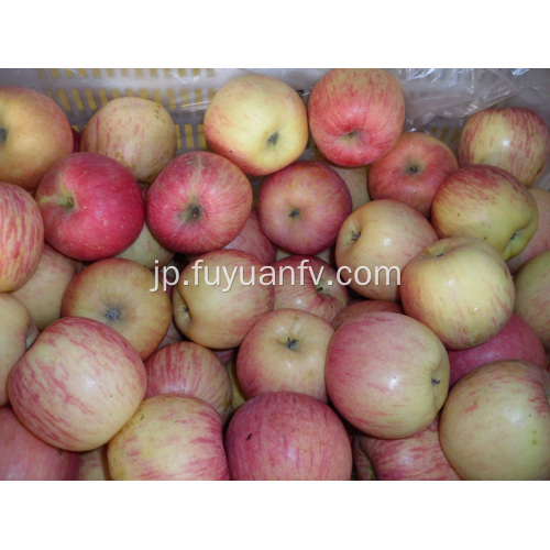 新鮮な富士リンゴの標準品質輸出